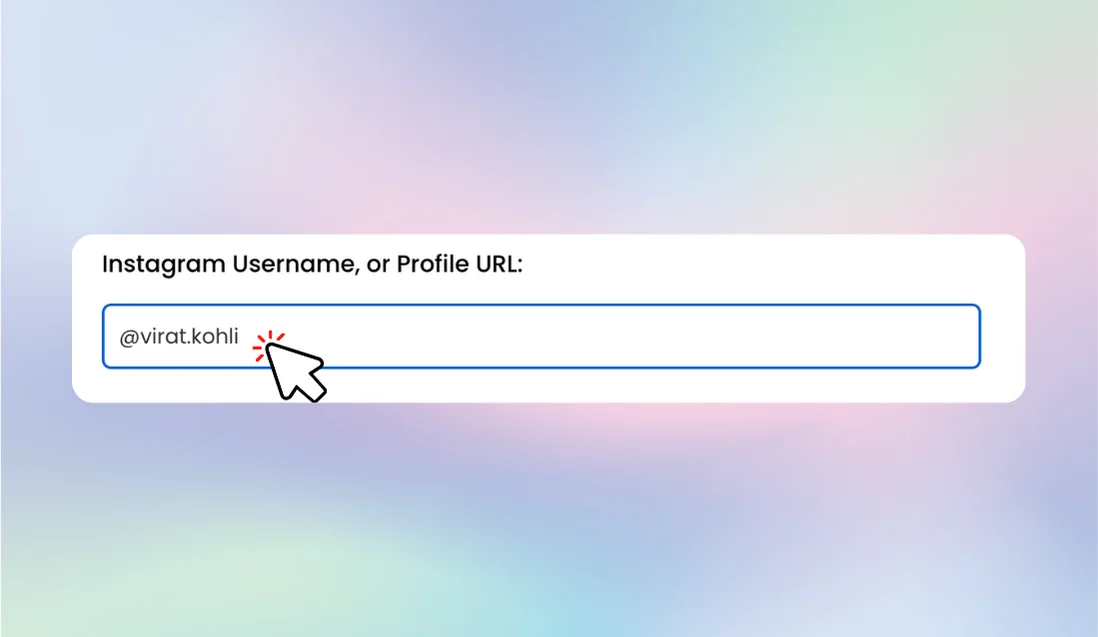 Enter Instagram Details